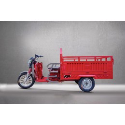 Tricicletă Electrică GL15000