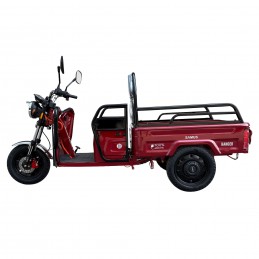 Triciclu electric cargo...